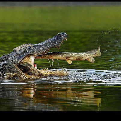 Diverse - 3706101510596974939781748678612n.jpg